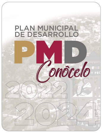 pmd